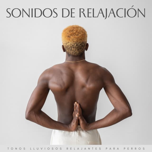 Sonidos De Relajación: Tonos Lluviosos Relajantes Para Perros - Sonido de lluvia ricky