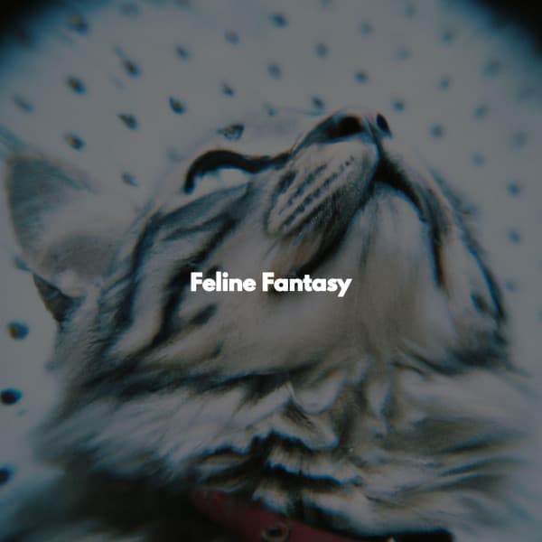 Feline Fantasy - Easy Relaxing Acoustics
