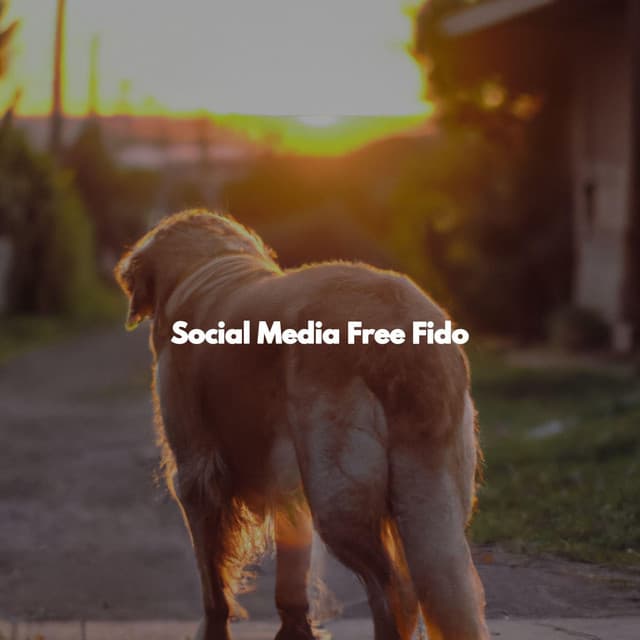 Social Media Free Fido - Sunday Evening Music
