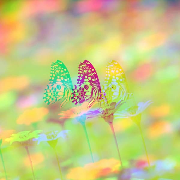 Music for Calming Lofi Moments - Relaxing Lo Fi