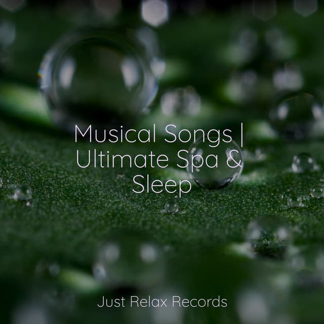 Musical Songs | Ultimate Spa & Sleep - Música a Relajarse
