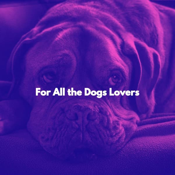 For All the Dogs Lovers - Harlem Jazz Guitar Quartet
