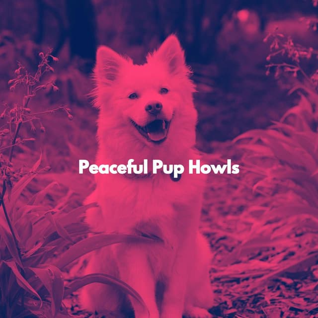 Peaceful Pup Howls - Dog Sleeping Soundtracks Deluxe