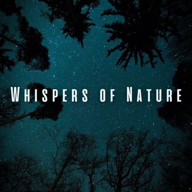 Whispers of Nature: Binaural Sleepscape for Deep Rest - Nature Ambience