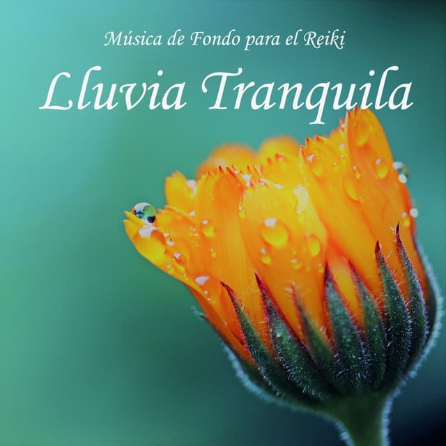 Música de Fondo para el Reiki: Lluvia Tranquila - Reiki Armonía
