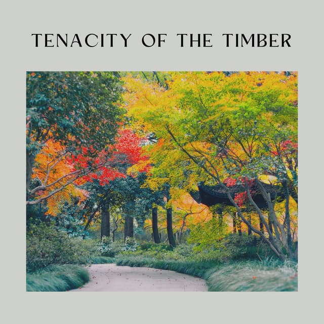 Tenacity of the Timber - Organic Sound