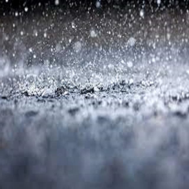 Rain All Night