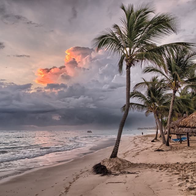 White Noise Baby Sleep & Brown Noise Rest – Loopable, No Fade - The Sleep Specialist