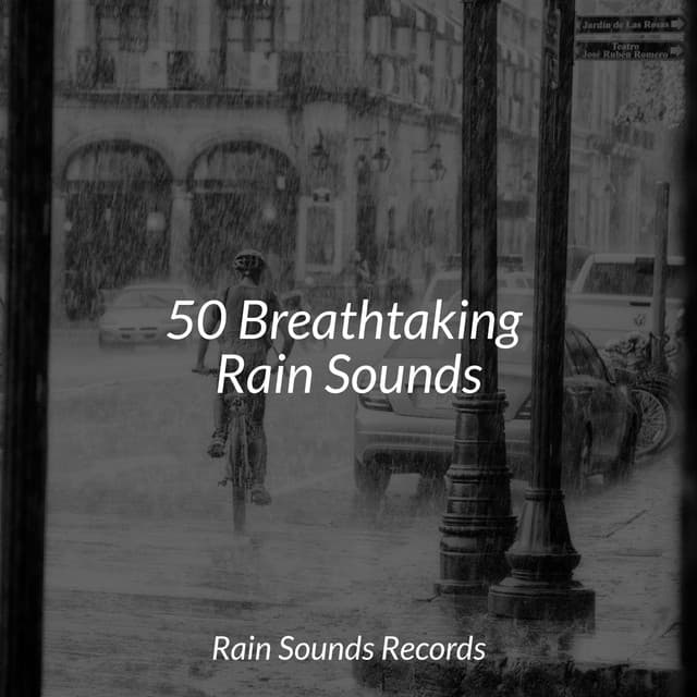 50 Breathtaking Rain Sounds - Ocean Waves For Sleep