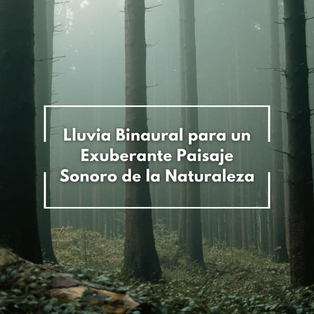 Lluvia Binaural Para Un Exuberante Paisaje Sonoro De La Naturaleza - Estado Binaural