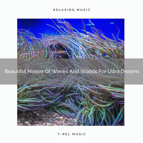 Beautiful Noises Of Waves And Woods For Ultra Dreams - Noise Gravity