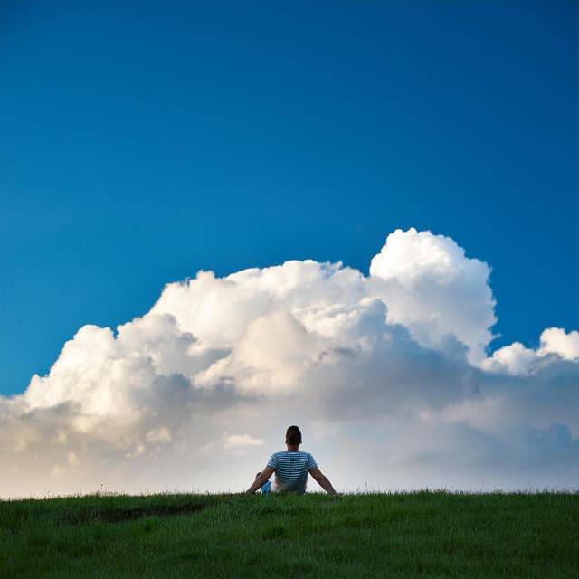 El relajante Real Animal