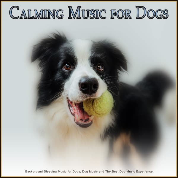 Calming Music for Dogs: Background Sleeping Music for Dogs, Dog Music and The Best Dog Music Experience - Calming Music for Dogs