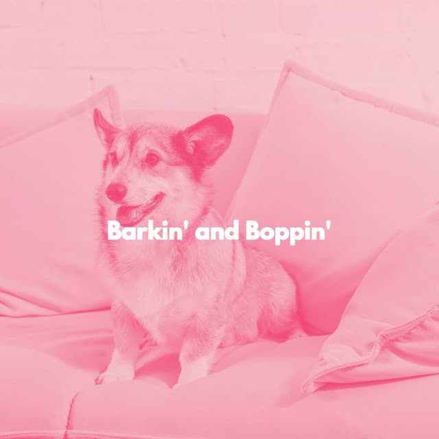 Barkin' and Boppin' - Radio de Jazz Suave