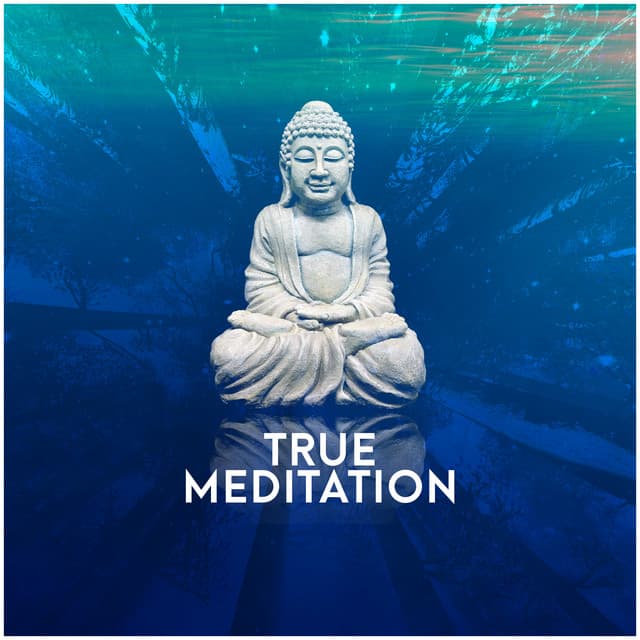 True Meditation - Yoga Relaxation Music