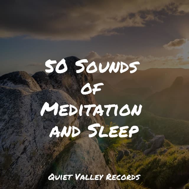 50 Sounds of Meditation and Sleep - Rainforest Sounds