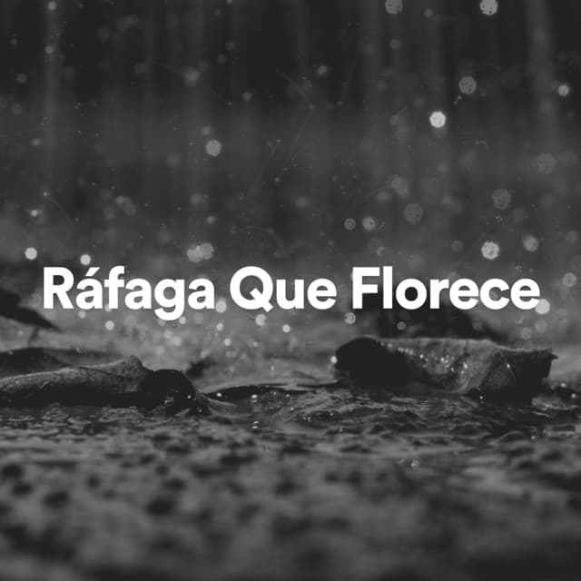 Ráfaga Que Florece - Cascada de Lluvia