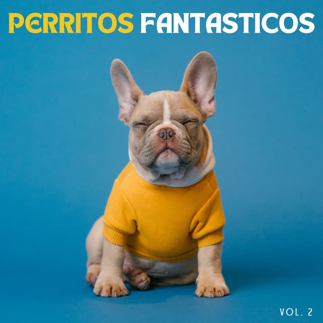 Perritos Fantasticos Vol. 2 - Zona de música para perros