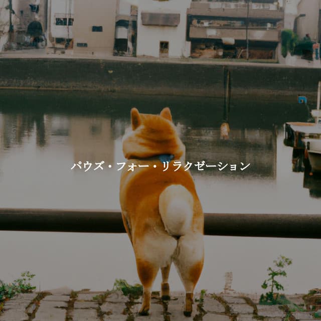 Playlist Musica para Leer