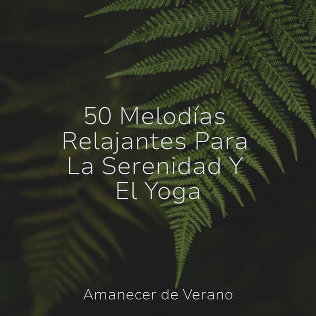 50 Melodías Relajantes Para La Serenidad Y El Yoga - Sonido de lluvia