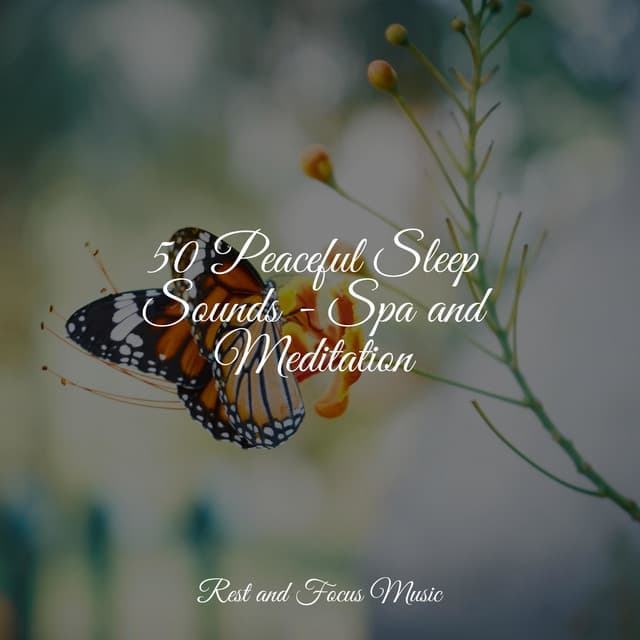 50 Peaceful Sleep Sounds - Spa and Meditation - The White Noise Zen & Meditation Sound Lab