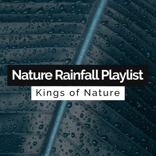 Nature Rainfall Playlist - Kings of Nature