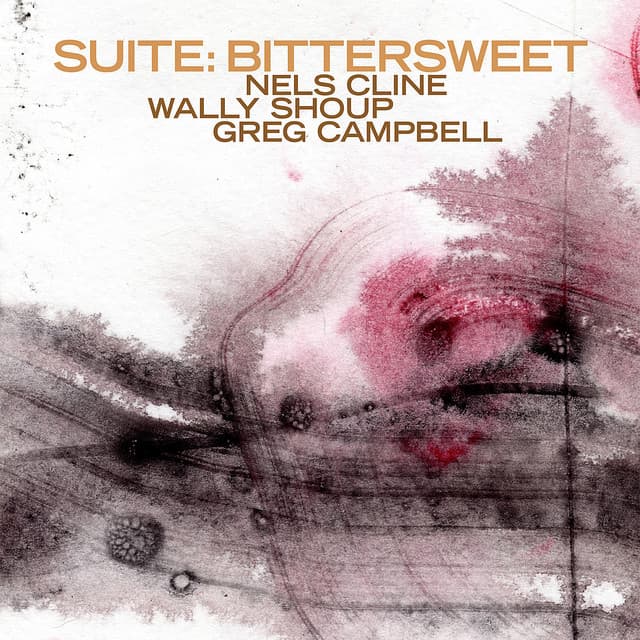 Suite: Bittersweet - Nels Cline/Wally Shoup/Greg Campbell