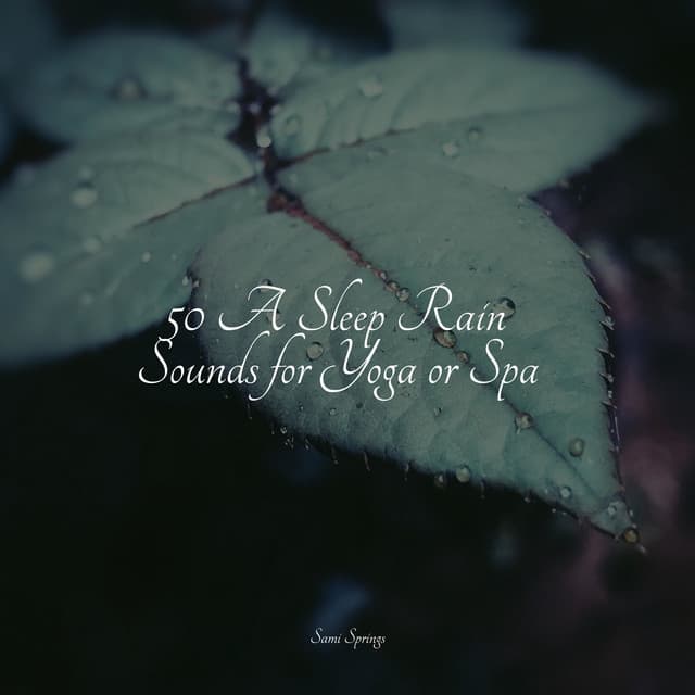 50 A Sleep Rain Sounds for Yoga or Spa - White Noise Sound Garden