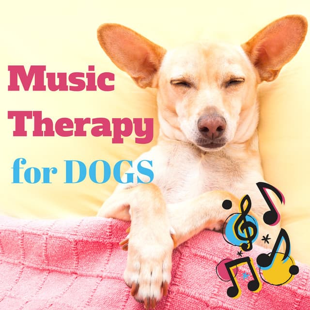 Music Therapy for Dogs – Relaxing Instrumental Music with Nature Sounds for Deep Sleep, Stress Relief, Anti Anxiety - Dogs Music Therapy