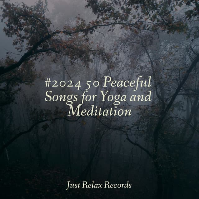 #2024 50 Peaceful Songs for Yoga and Meditation - Yoga Sounds