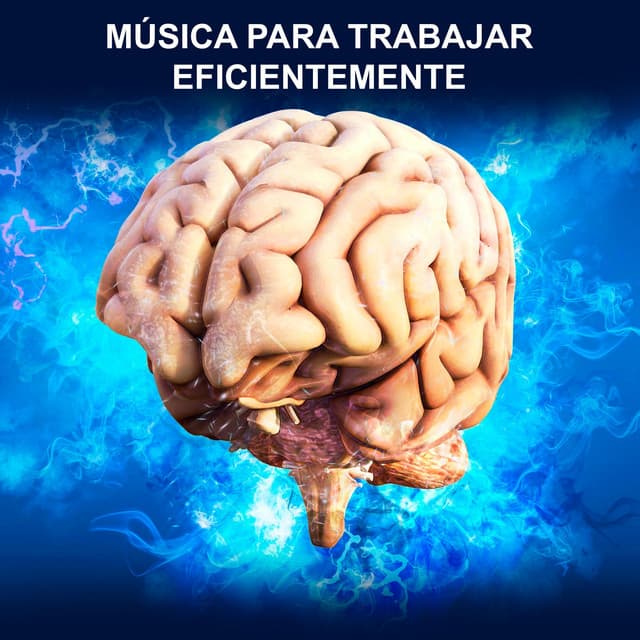 Música Para Trabajar Eficientemente - Concentracíon