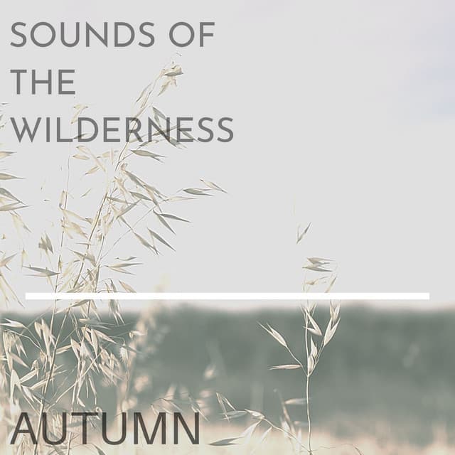 Autumn - Sound of the Wilderness
