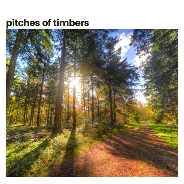 Pitches of the Timbers - Nature Calm