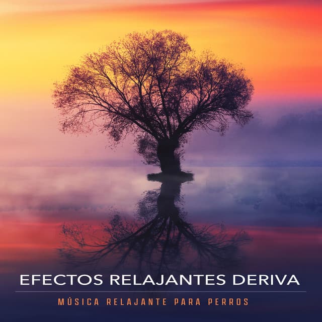Efectos Relajantes Deriva - Música Relajante para Perros