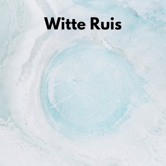 Witte Ruis om te Slaapen