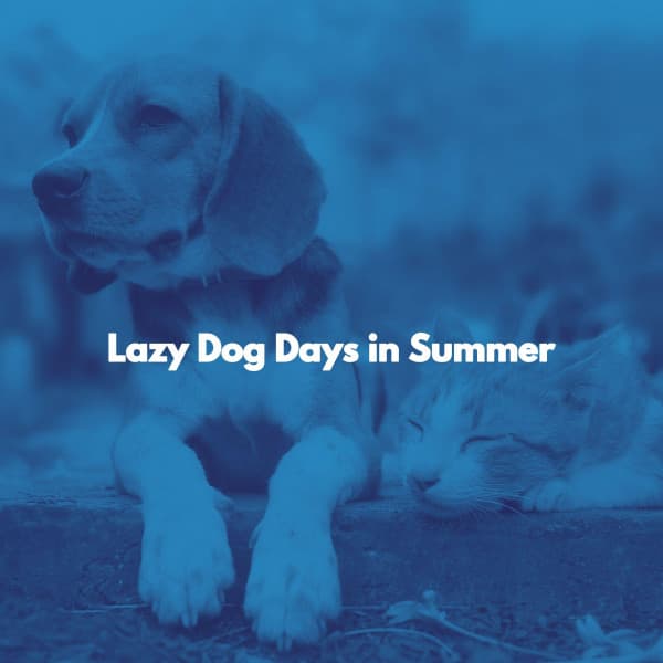 Lazy Dog Days in Summer - Sunday Morning Music Classics