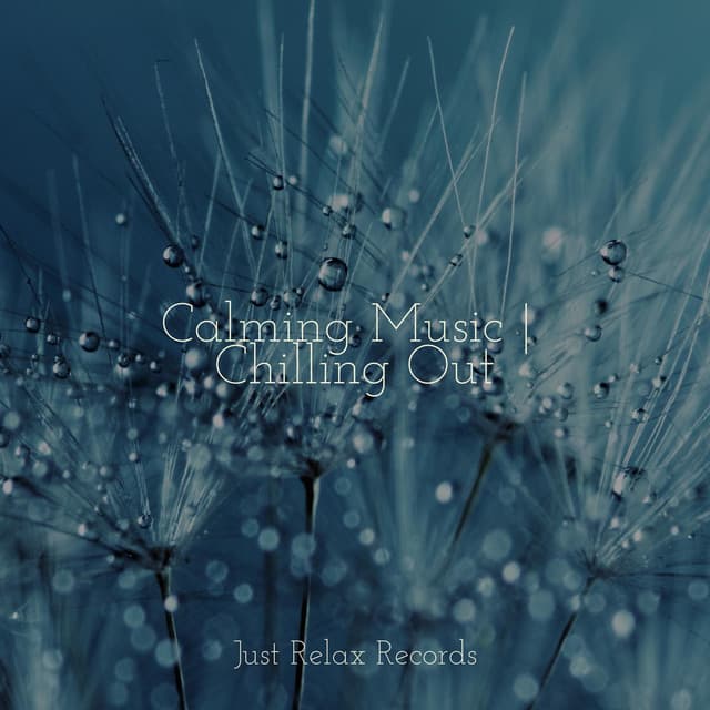Calming Music | Chilling Out - Sleepy Night Music