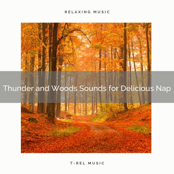 Thunder and Woods Sounds for Delicious Nap - Rain Spa