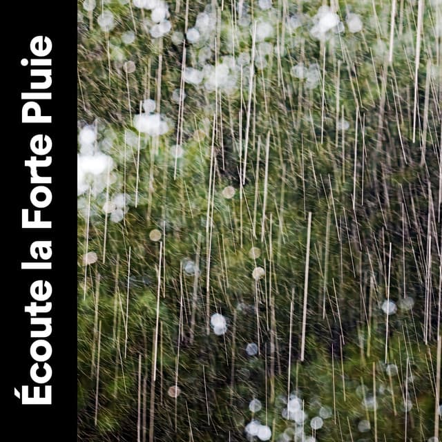 Écoute La Forte Pluie - Orage HD