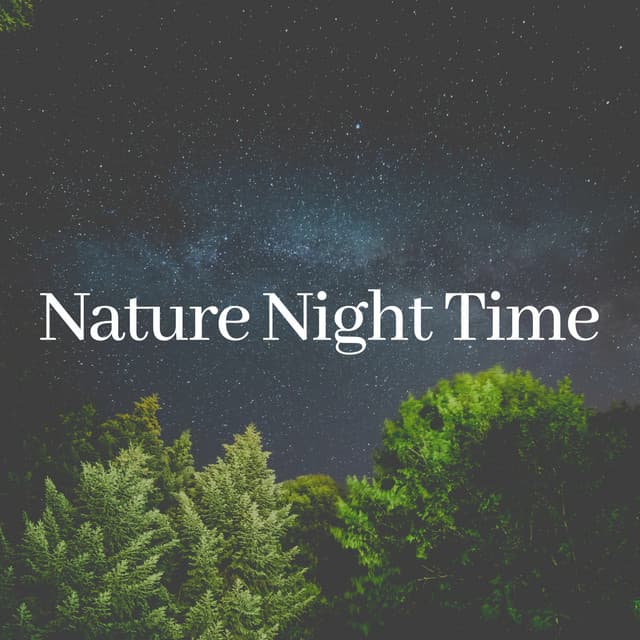 Nature Night Time - Sound of Nature Library