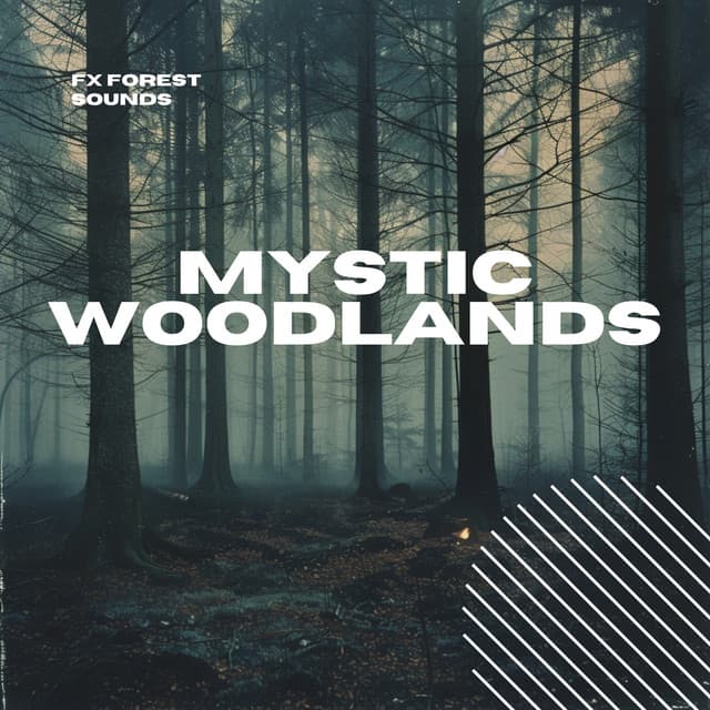 Mystic Woodlands: Serene Forest Melodies - FX Forest Sounds