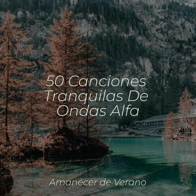 50 Canciones Tranquilas De Ondas Alfa - Musica romantica instrumental
