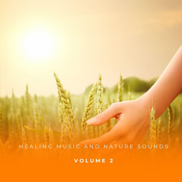 Healing Music And Nature Sounds Vol. 2 - Relaxed Minds
