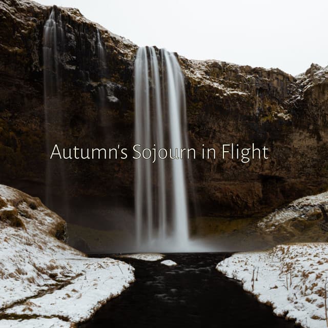 Autumn's Sojourn in Flight - Cosmic Thought
