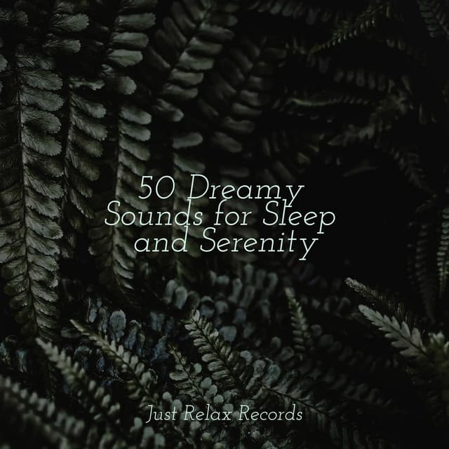 50 Dreamy Sounds for Sleep and Serenity - kinderliedjes