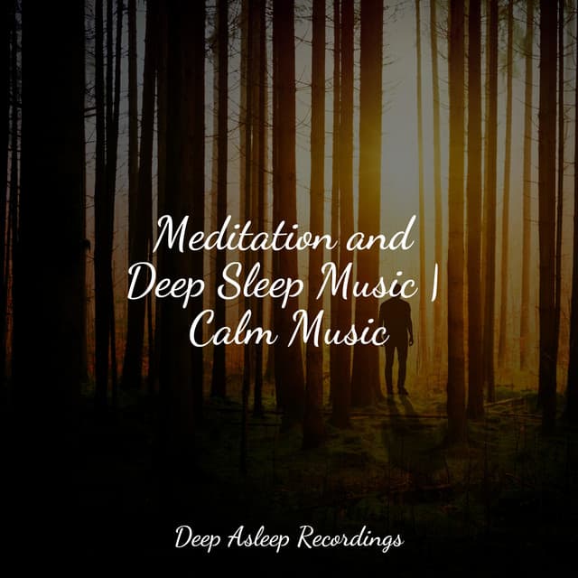 Meditation and Deep Sleep Music | Calm Music - Binaural Beats Brain Waves Isochronic Tones Brain Wave Entrainment