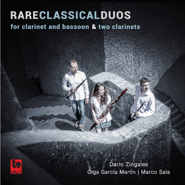 Franz Wilhelm Tausch - Franz Anton Hoffmeister - François René Gebauer: Rare Classical Duos - Dario Zingales