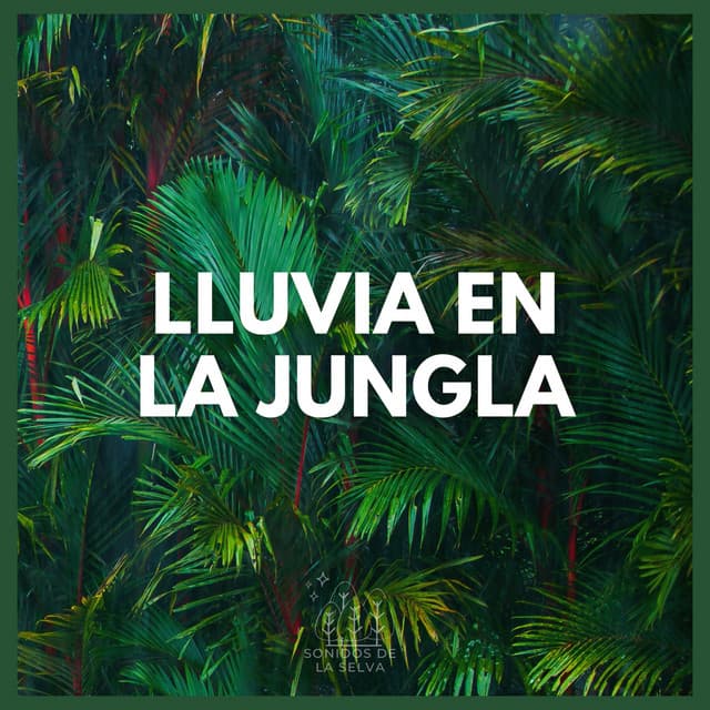 Lluvia en la Jungla - Sonidos De La Selva