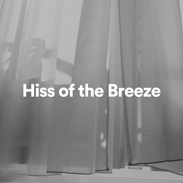 Hiss of the Breeze - Background Sleep White Noise