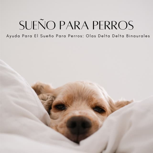 Ayuda Para El Sueño Para Perros: Olas Delta Delta Binaurales - Delta Ondas Puras